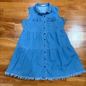 Sleeveless Denim Button-Front Dress in Blue